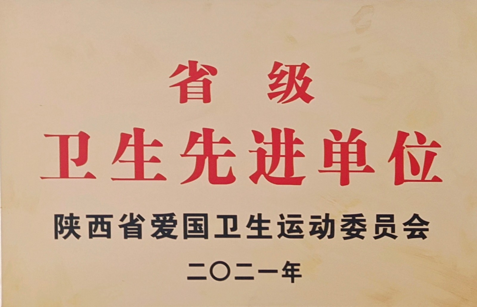 水環(huán)境公司鎮(zhèn)安污水處理廠榮獲“省級衛(wèi)生先進(jìn)單位”榮譽(yù)稱號